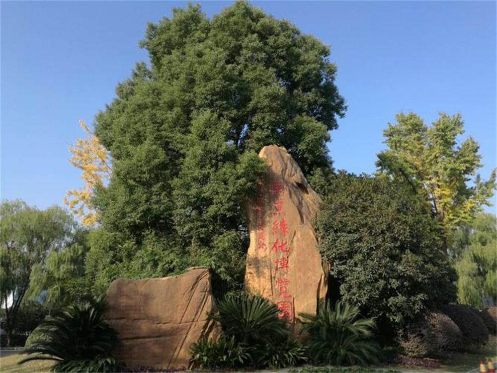 Nanjing: Exploring the Ming Xiaoling Mausoleum, Night Tour of Confucius Temple, Boating on Qinhuai River, Remembering Zhongshan Mausoleum, Tasting the Ancient Capital Style of Jinling