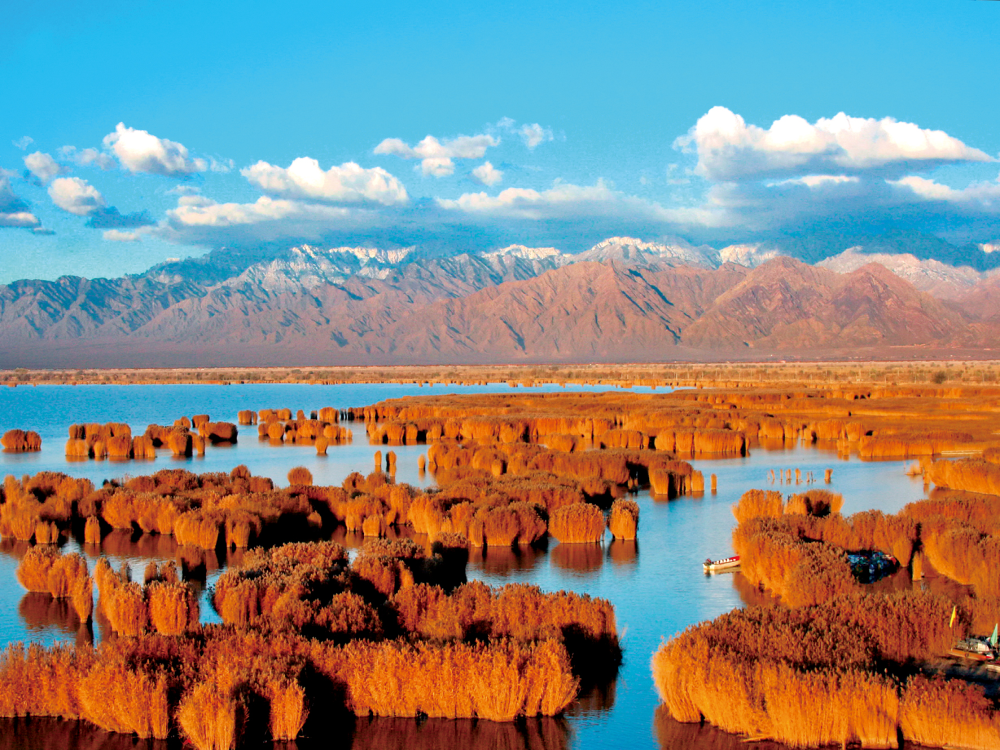 Ningxia: Desert, Yellow River, Goji Berry Garden, Experience Western Xia Culture, Taste Hui Cuisine