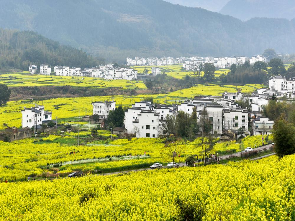 Jiangxi: Exploring history, strolling through the sea of clouds, searching for autumn in ancient villages, and exploring the charm of Jiangxi