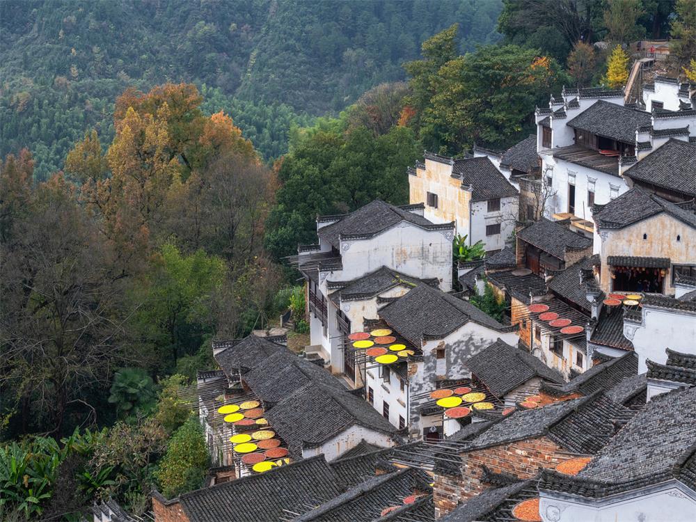 Jiangxi: Exploring history, strolling through the sea of clouds, searching for autumn in ancient villages, and exploring the charm of Jiangxi